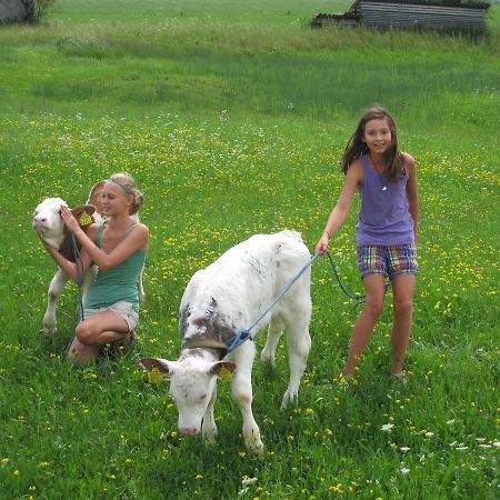 Ferienhutte Wolfgangsee Sankt Wolfgang im Salzkammergut Ngoại thất bức ảnh