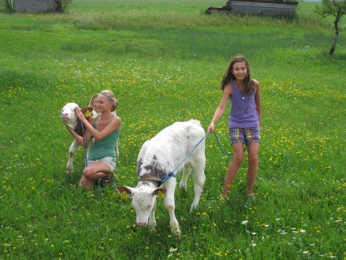 Ferienhutte Wolfgangsee Sankt Wolfgang im Salzkammergut Ngoại thất bức ảnh